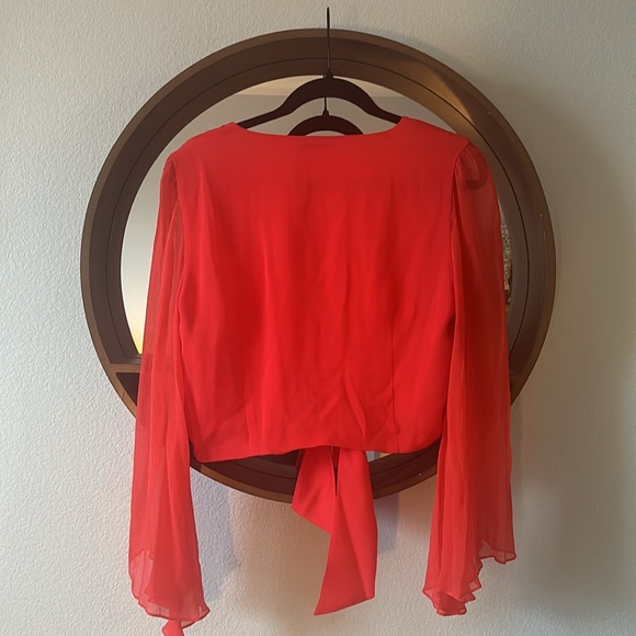 Scarlet Alice + Olivia silk plunge neck tie front crop top with tags-size large - Picture 4 of 7